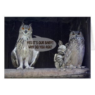 Silly Question Cards