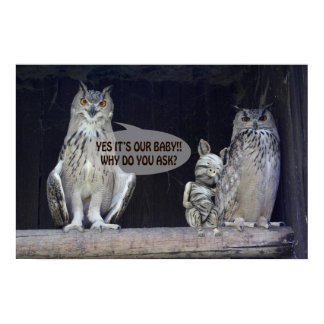Silly Question Poster