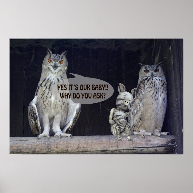 Silly Question Poster (Front)