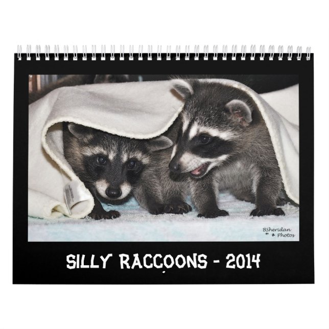Silly Raccoons - 2014 Calendar (Cover)