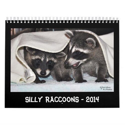 Silly Raccoons _ 2014 Calendar