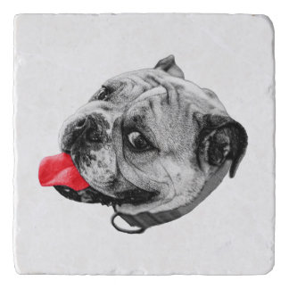 Silly Red Sip Trivet