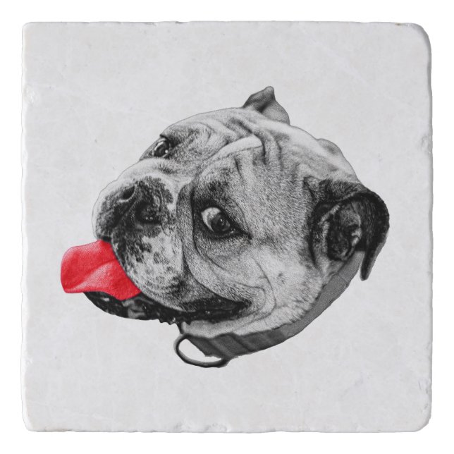 Silly Red Sip Trivet (Front)