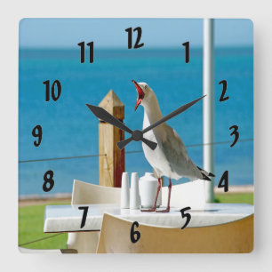 Silly Seagull Square Wall Clock
