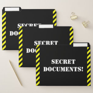 Silly "SECRET DOCUMENTS!" File Folder Set