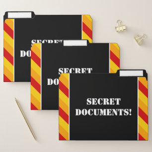 Silly "SECRET DOCUMENTS!" File Folder Set
