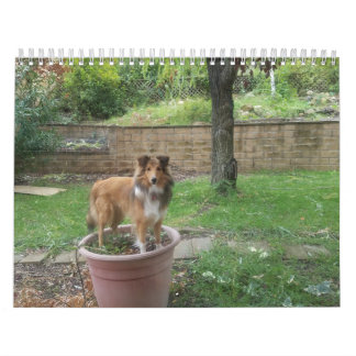 Silly sheltie calendar