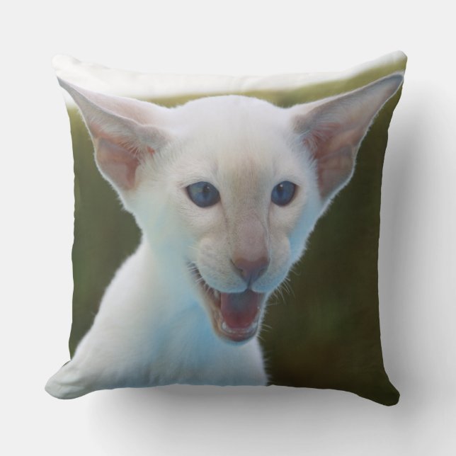 Silly Siamese Throw Pillow (Front)