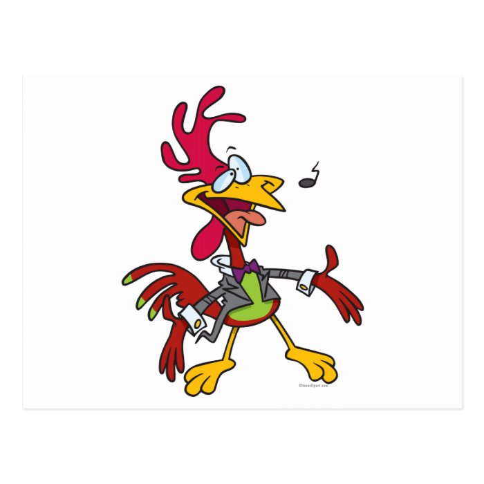 silly singing rooster cartoon post cards