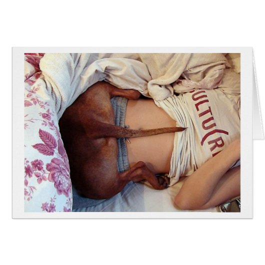 Silly Sleepy Pitbull! Cards (Front Horizontal)