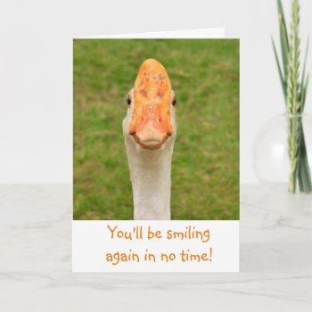 Silly Smiling Goose Get Well Card by Therupieshop at Zazzle