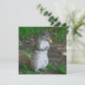 Silly Squirrel (Standing Front)