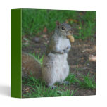 Silly Squirrel Binder