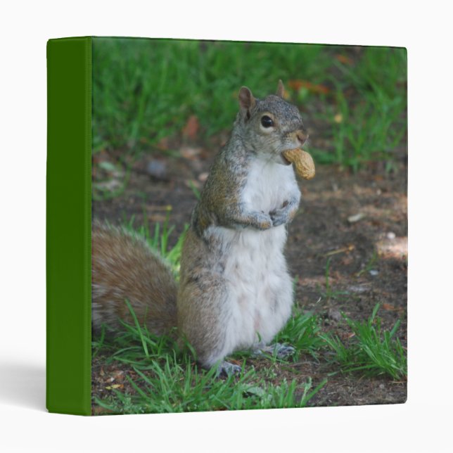 Silly Squirrel Binder (Front/Spine)