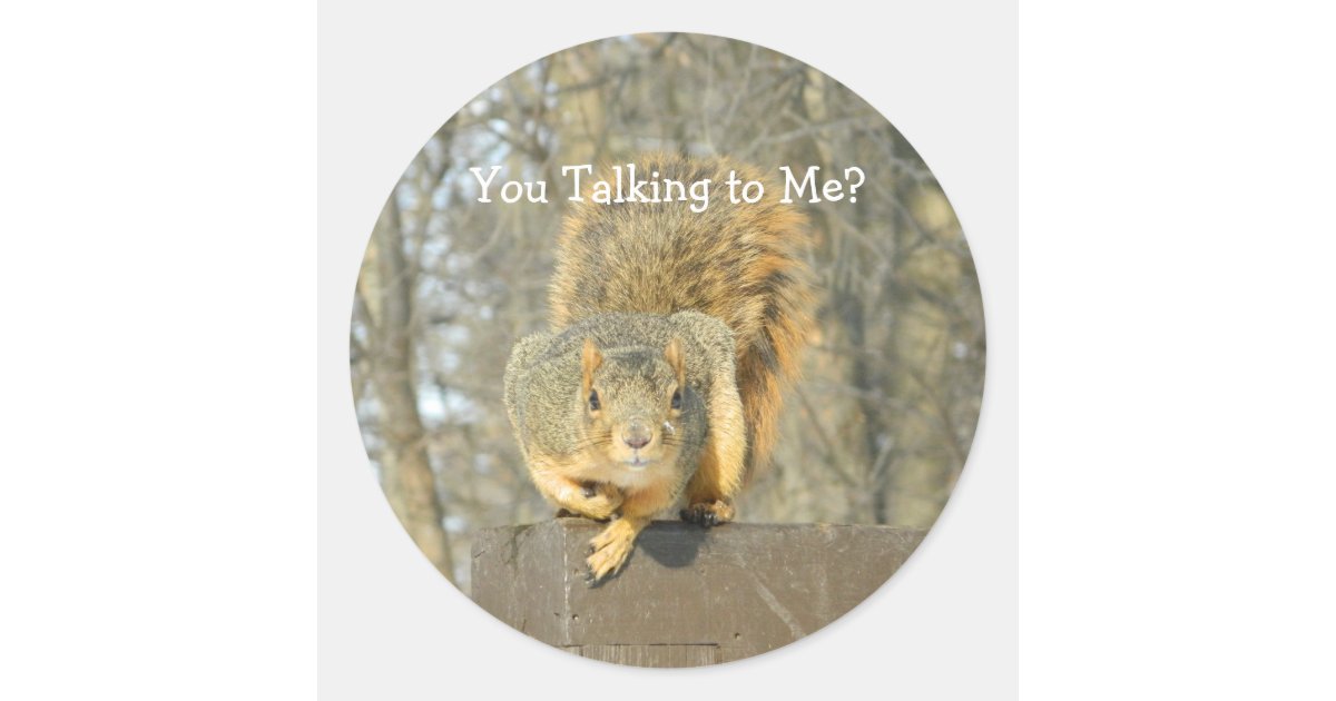 Curated visual reference: Silly Squirrel Classic Round Sticker Photo Inspiration