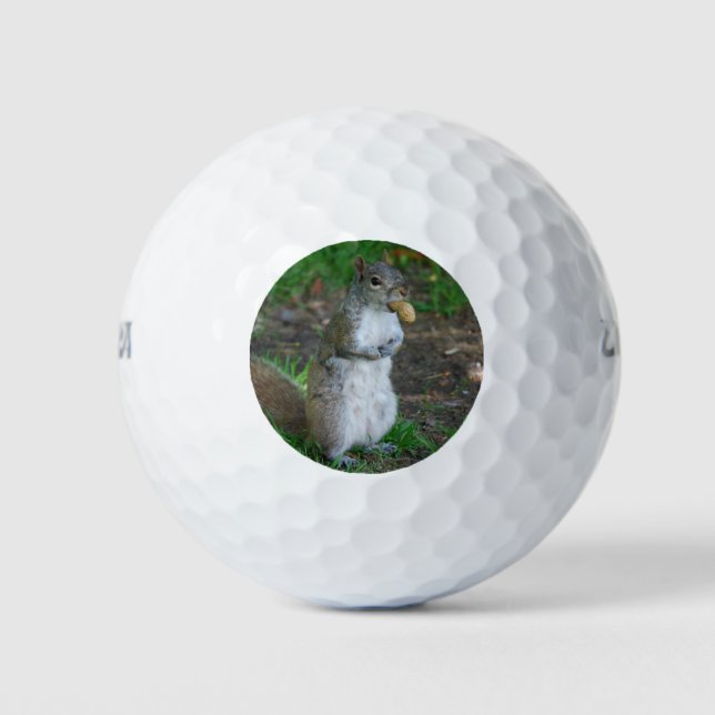 Silly Squirrel Golf Balls (Front)