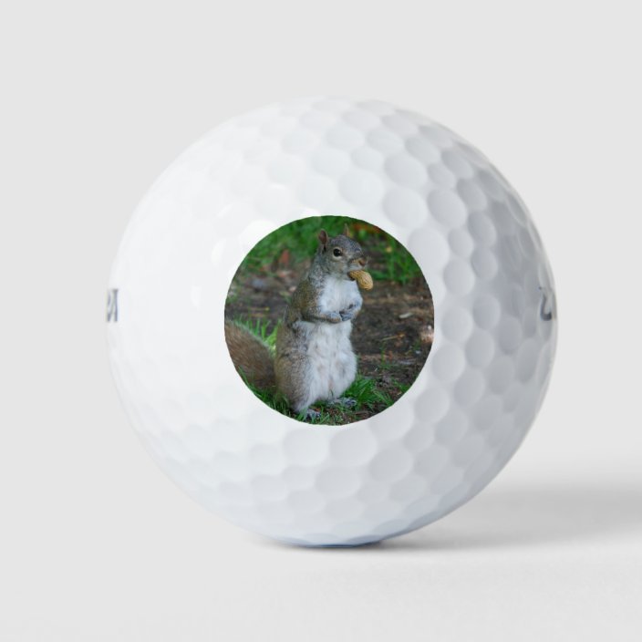 Silly Squirrel Golf Balls