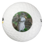 Silly Squirrel Golf Balls