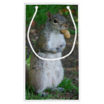 Silly Squirrel Small Gift Bag