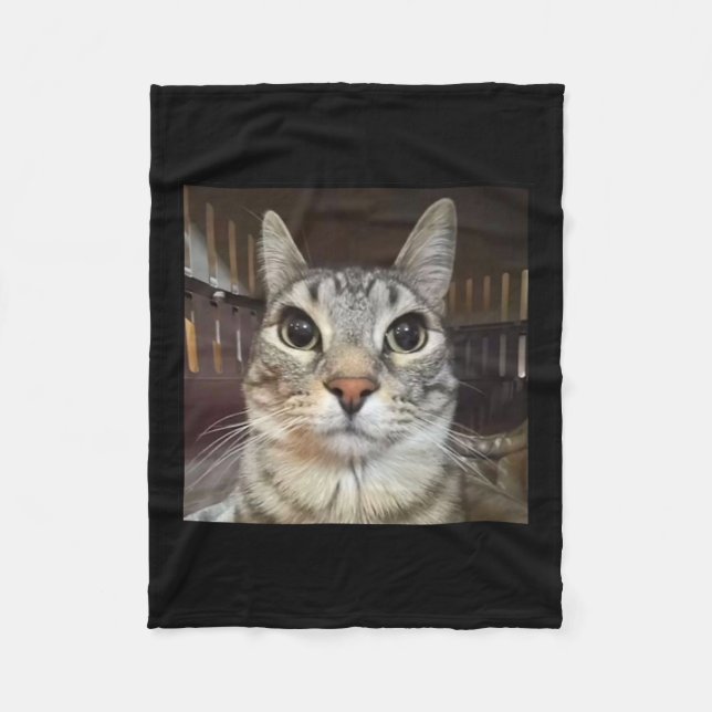 Silly Staring Cat Meme  Fleece Blanket (Front)