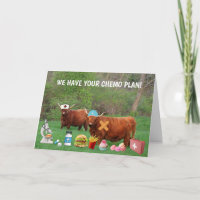 Silly Steer Cancer Encouragement