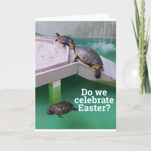 **SILLY TURTLES** WISH YOU HAPPY "EASTER" CARD (Front)