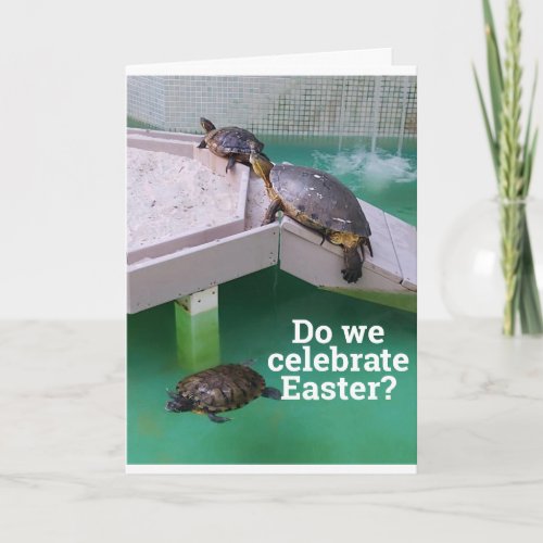 SILLY TURTLES WISH YOU HAPPY EASTER CARD