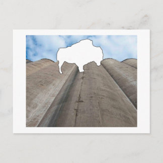 Silo and Buffalo Postcard