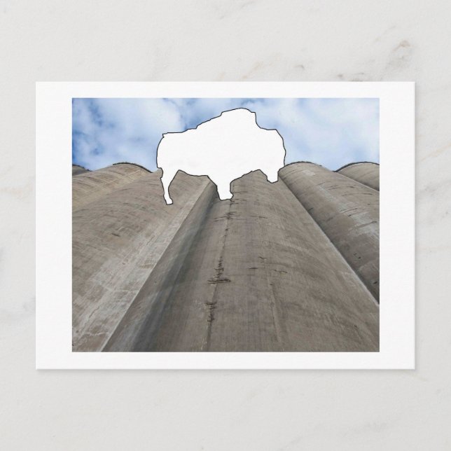 Silo and Buffalo Postcard (Front)