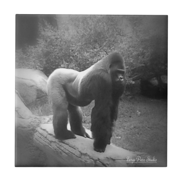 Silveback Gorilla Ceramic Tile (Front)