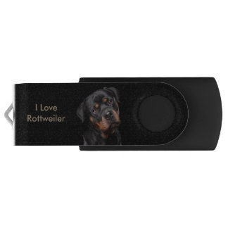 Silver, 16 GB, Black, Rottweiler USB Flash Drive