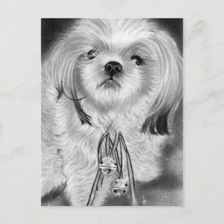 Silver bells puppy Postcard