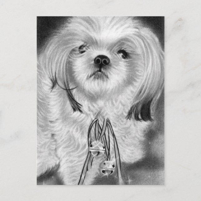 Silver bells puppy Postcard (Front)