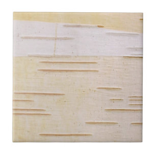 Silver Birch Bark Tile
