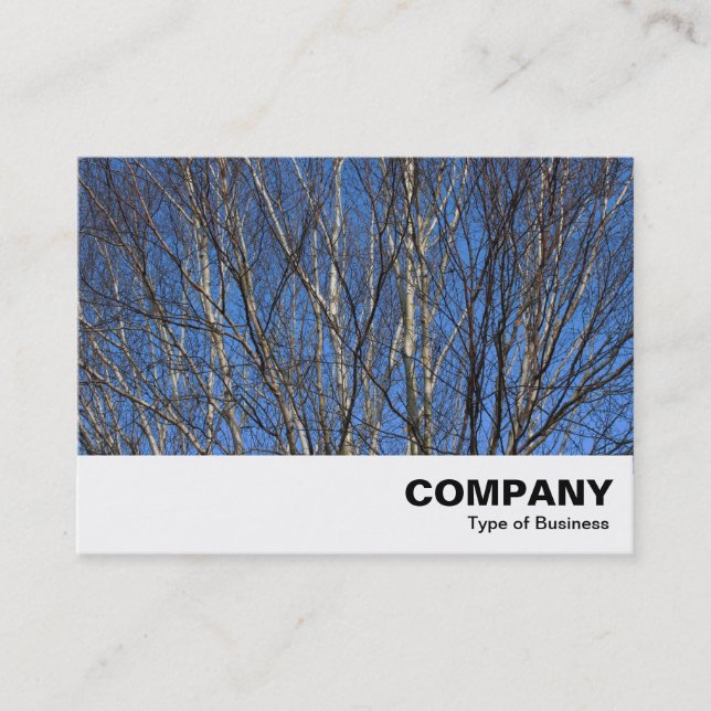 Silver Birch Branches 02 Business Card (Front)