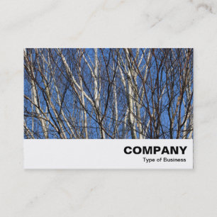Silver Birch Branches Business Card