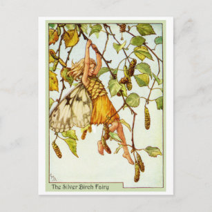 Silver Birch Fairy Postcard