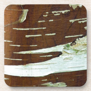 Silver Birch Natural Tree Bark Beverage Coaster