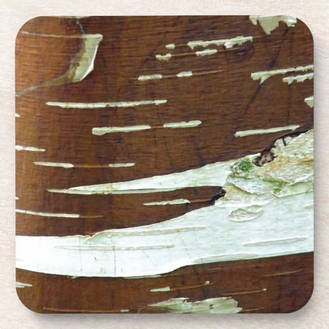 Silver Birch Natural Tree Bark Beverage Coaster (Front)