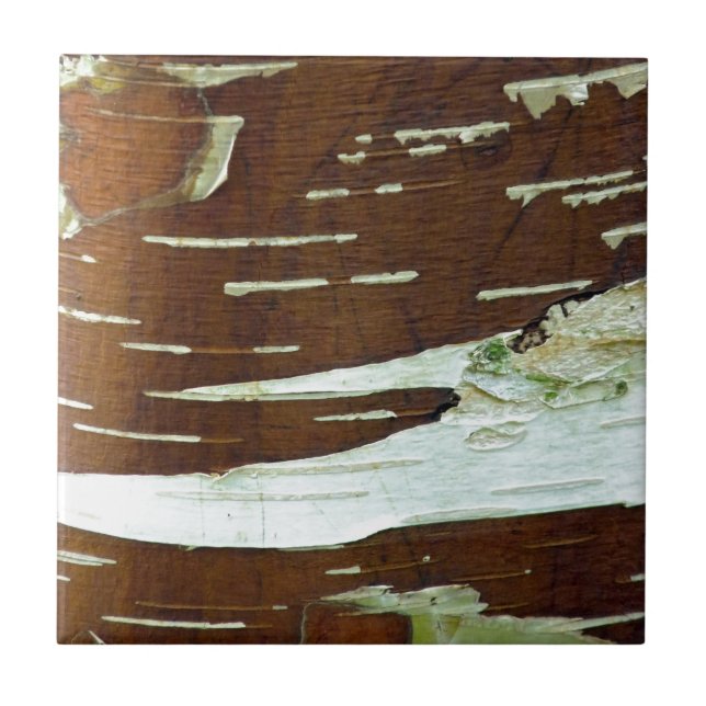 Silver Birch Natural Tree Bark Tile (Front)