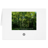 Silver Birch Trees Cards (Back Horizontal)