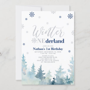 Silver & Blue Winter onederland 1st birthday party Invitation