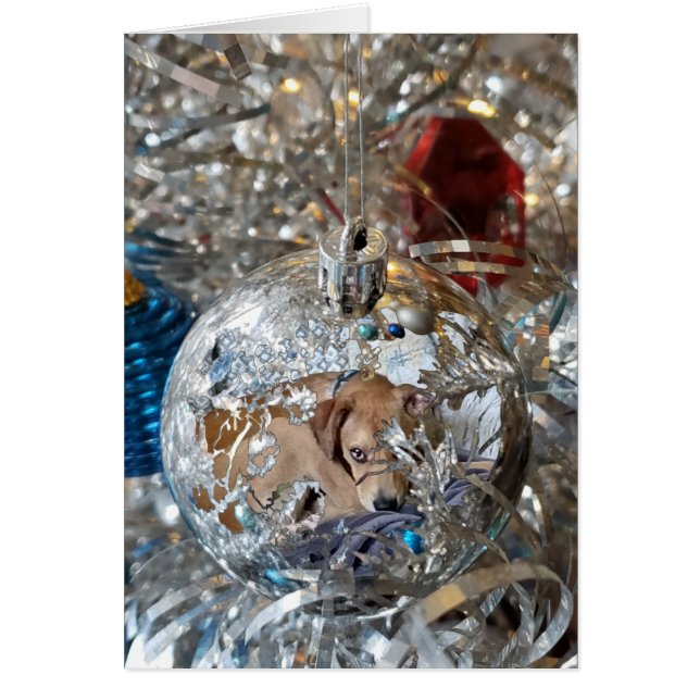 Silver Bulb Reflect Cards (Front)