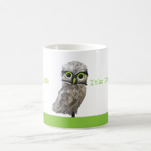 Silver Burrowing Owl Cape Coral Florida Artwork Coffee Mug