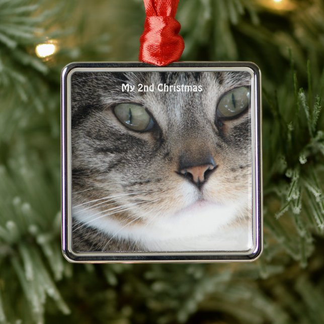 Silver Cat My 2nd Christmas Photo Metal Ornament (Tree)