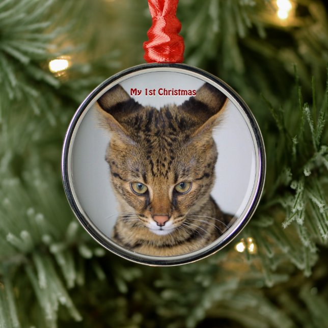 Silver Cat My First Christmas Photo Ornaments (Tree)