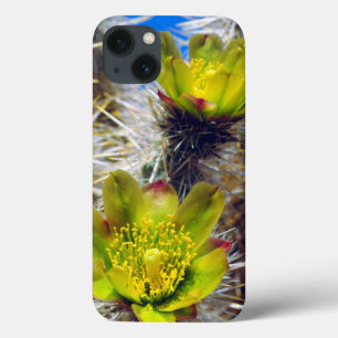 Silver Cholla Cactus Wildflowers iPhone 13 Case