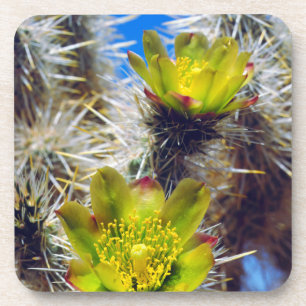Silver Cholla Cactus Wildflowers Coaster