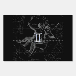 Silver Chrome like Gemini Zodiac Sign on Hevelius