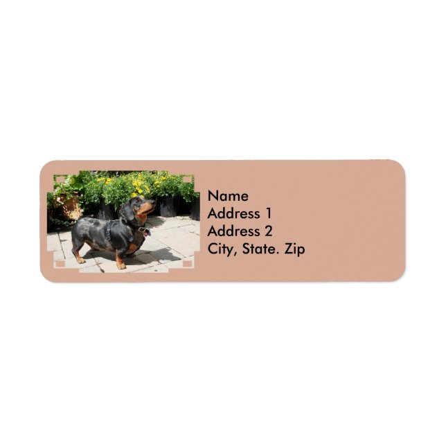 Silver Dapple Dachshund Buddy 2 Label (Front)